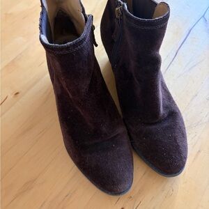 Franco Sarto Dark Brown Suede Ankle Booties